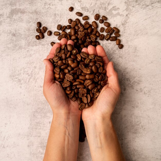 Vue de dessus personne tenant des grains de café torréfiés