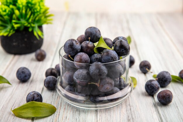 Vue de dessus des petits prunelles bleu-noir aigre sur un bocal en verre avec des feuilles avec des prunelles isolé sur un fond en bois gris