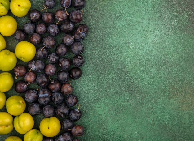 Vue de dessus des petits prunelles de fruits bleu-noir aigre avec des prunes cerises vertes fraîches sur fond vert avec espace copie