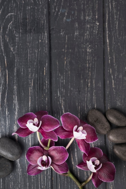 Vue de dessus des pierres de spa avec orchidée sur la table