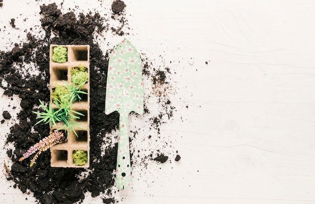 Photo gratuite vue de dessus des plantes dans un plateau de tourbe et jardinage showel sur le sol sur fond en bois