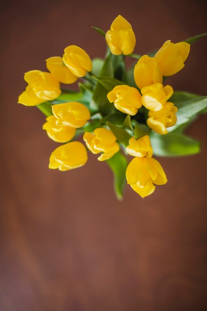 Vue de dessus des plantes jolies