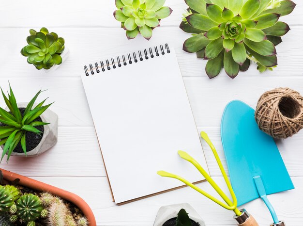 Vue de dessus des plantes sur une surface en bois