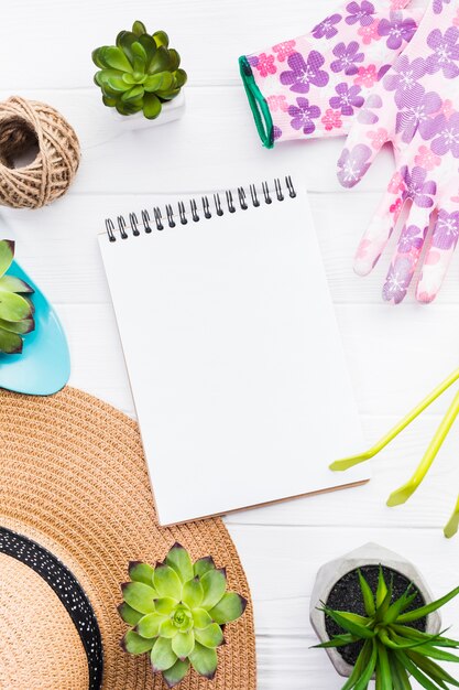 Vue de dessus des plantes sur une surface en bois