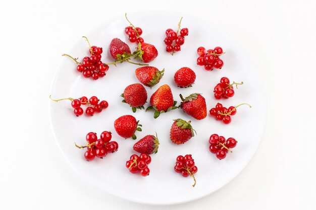 Vue de dessus de la plaque avec des fraises fraîches et moelleuses sur le fond blanc couleur fruits frais moelleux berry