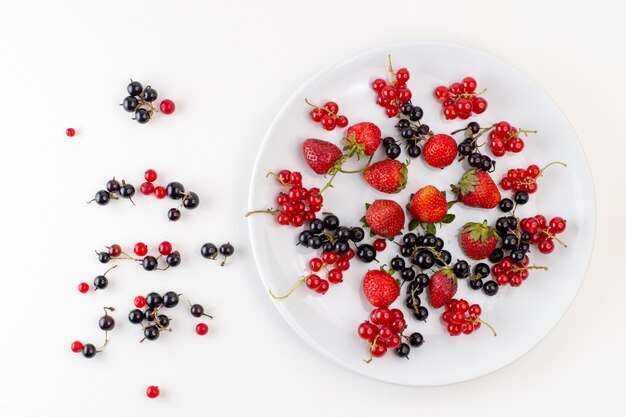 Vue de dessus de la plaque avec des fraises fraîches et moelleuses avec des myrtilles et des canneberges sur le fond blanc couleur fruits frais moelleux berry