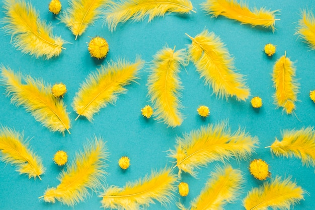 Vue de dessus de la plume jaune et des pompons pour le carnaval