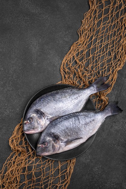 Vue de dessus poisson en assiette et filet de pêche