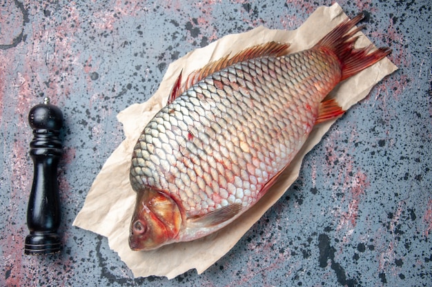 Photo gratuite vue de dessus poisson cru frais sur fond bleu