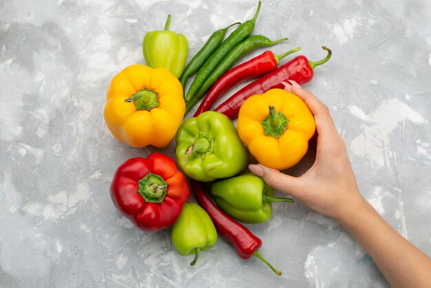 Vue de dessus poivrons colorés avec poivrons sur gris