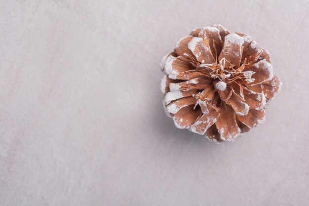 Vue de dessus de la pomme de pin sur une surface blanche.