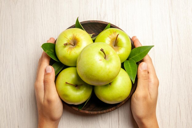 Vue de dessus pommes vertes fraîches fruits moelleux et mûrs sur bureau blanc plante fruits couleur arbre vert frais