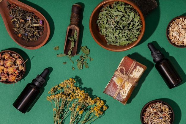 Vue de dessus des produits de phytothérapie