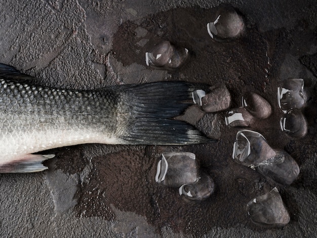 Vue de dessus de la queue de poisson avec des glaçons