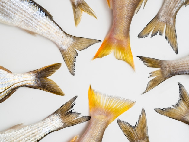 Vue de dessus avec des queues de poisson sur la table