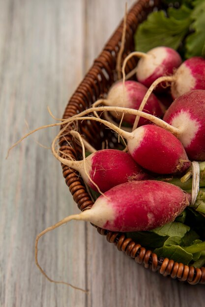 Vue de dessus des radis de légumes-racines sur un seau sur une surface en bois gris