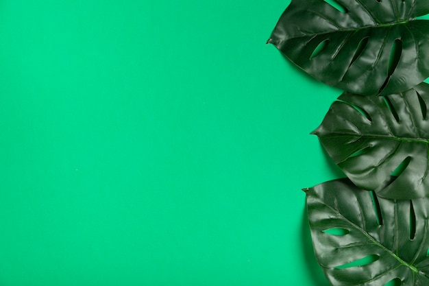 Photo gratuite vue de dessus réaliste des feuilles sur papier