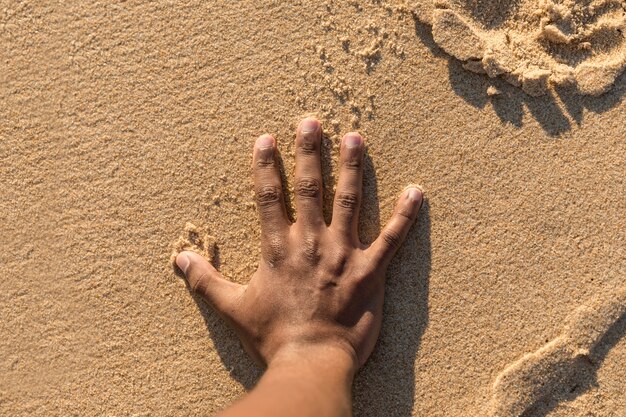 Vue dessus, de, récolte, main, sur, sable