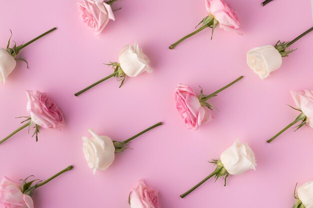 Vue de dessus des roses en fleurs