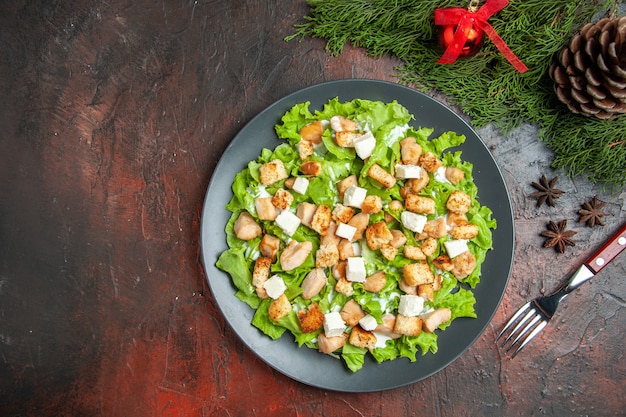 Vue de dessus de la salade césar sur une assiette ovale fourche branches de pin cônes sur un espace libre de table rouge foncé