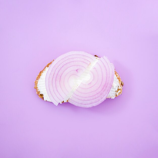 Vue de dessus d'un sandwich à l'oignon délicieux