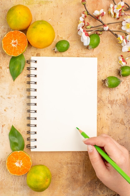 Photo gratuite vue de dessus de savoureuses mandarines fraîches avec feijoas et bloc-notes