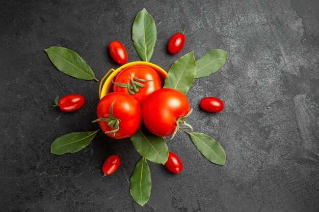 Vue de dessus un seau avec des tomates et des feuilles de laurier autour de tomates cerises et de feuilles de laurier sur fond sombre