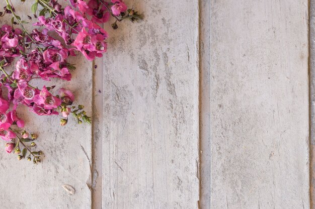 Vue de dessus de la surface avec des fleurs