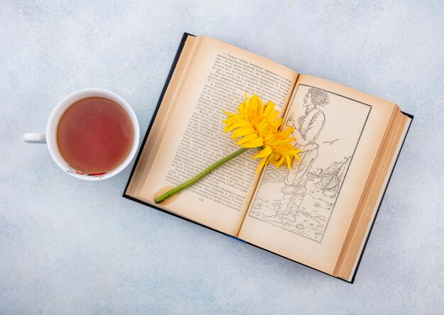 Vue de dessus de la tasse de thé et de fleurs sur livre ouvert sur blanc