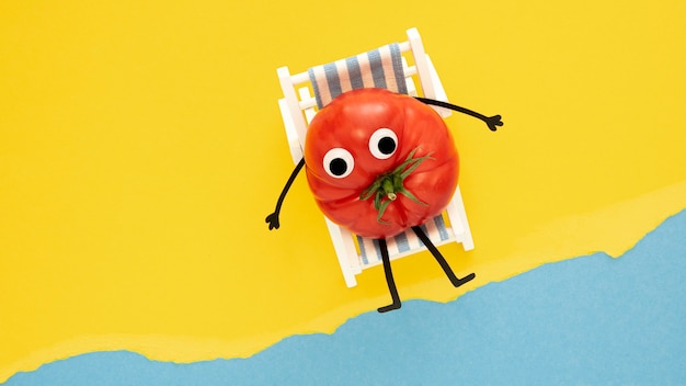 Vue de dessus tomate sur chaise longue
