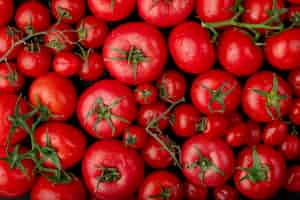 Photo gratuite vue de dessus des tomates fraîches mûres avec des gouttes d'eau sur fond noir