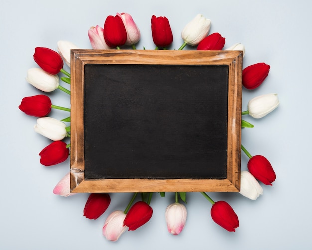 Photo gratuite vue de dessus des tulipes blanches et rouges autour du cadre