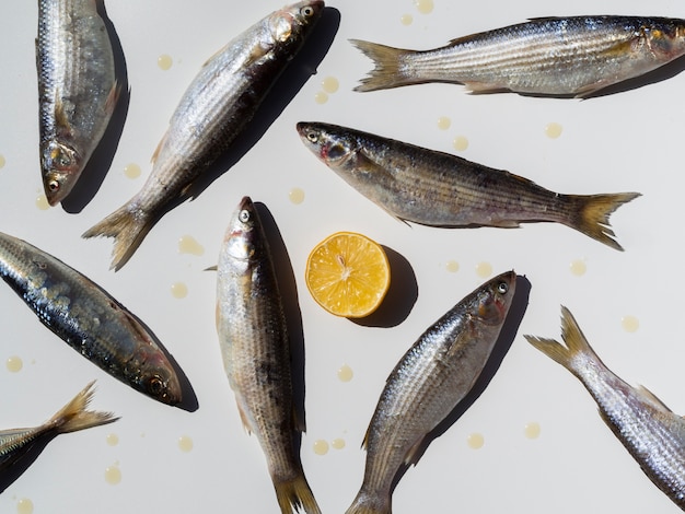 Vue de dessus variété de poissons et un citron