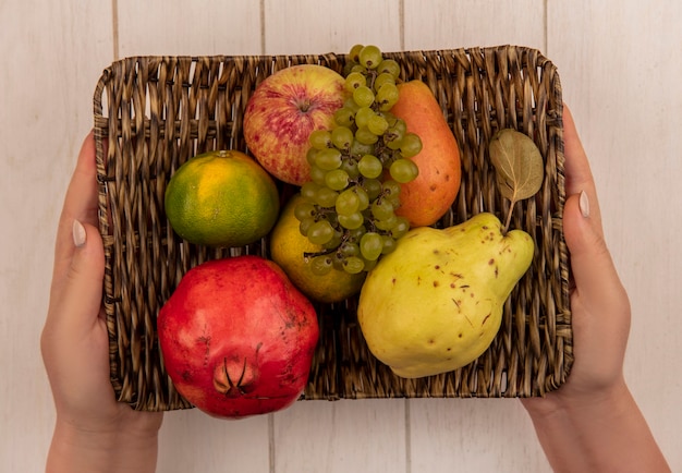 Vue de dessus woman holding apple avec mandarine grenade et raisins dans le panier sur mur blanc