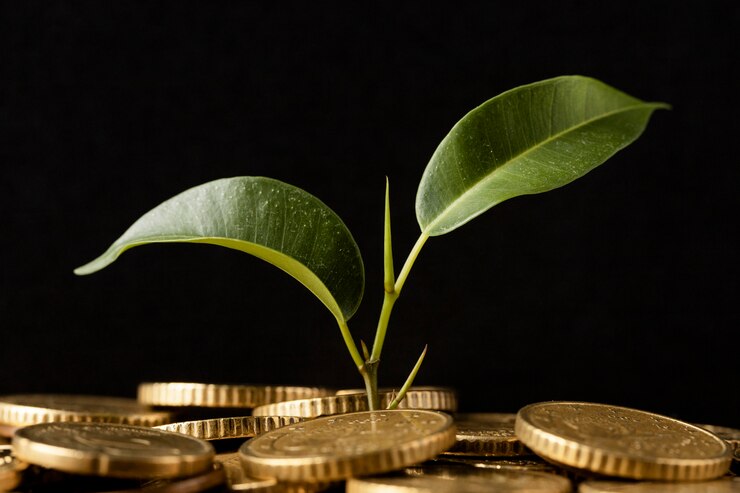 Photo gratuit vue de devant d'une plante poussant à partir de pièces de monnaie