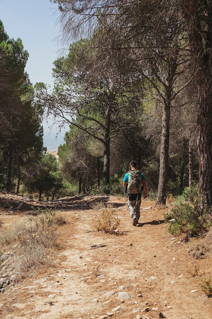 Photo gratuite vue de dos du randonneur en forêt