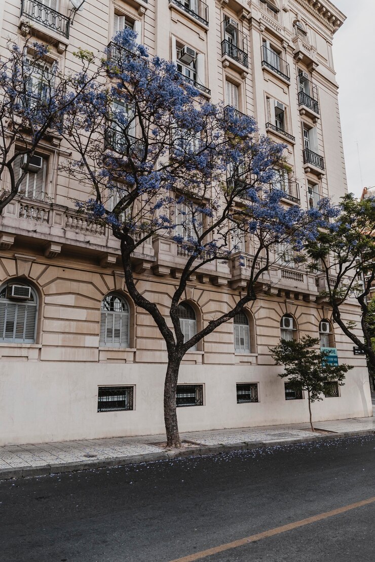 Photo gratuit vue du bâtiment en béton dans la ville avec des arbres