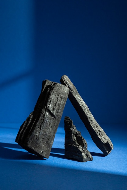Vue du charbon de bois sous différentes formes