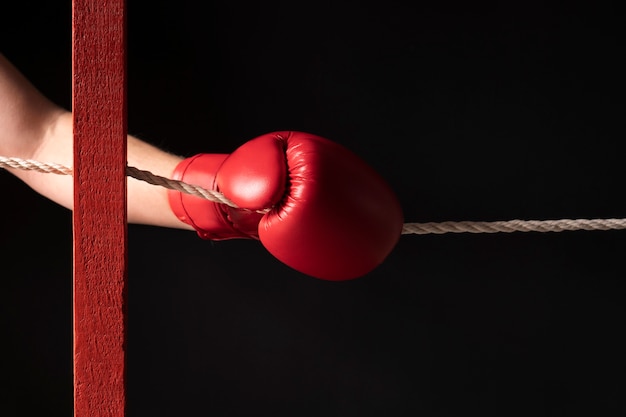 Vue du gant de boxe