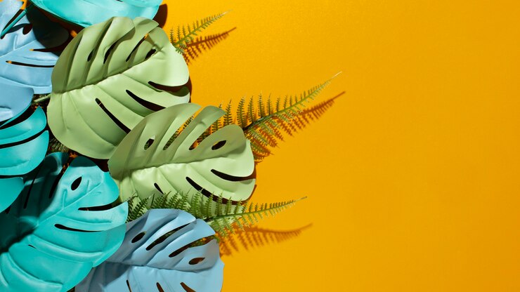 Photo gratuit vue du haut arrangement de feuilles de monstera colorées