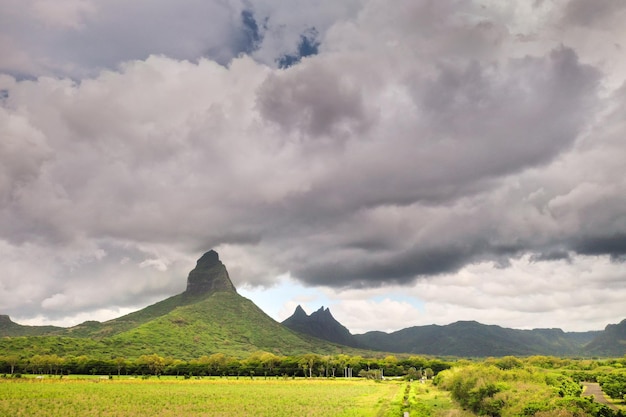 Vue du haut des champs semés situés sur l'île maurice.