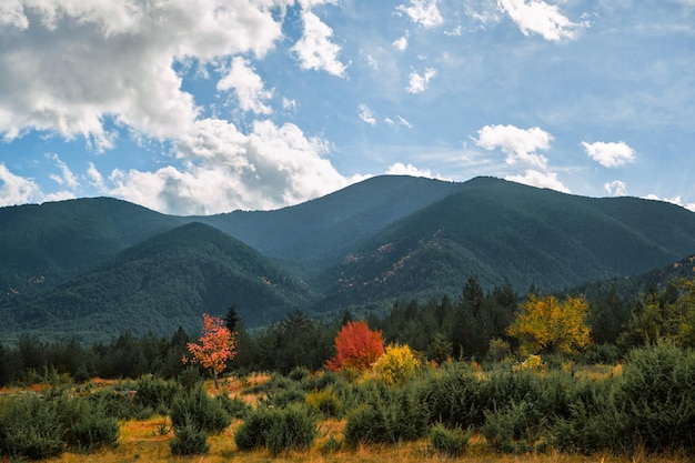 Vue du paysage d'automne des montagnes de Pirin lors d'un changement de saison en automne