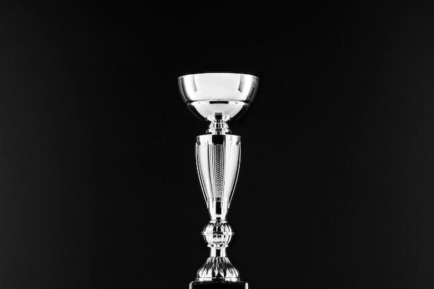 Vue du trophée de la coupe d'argent