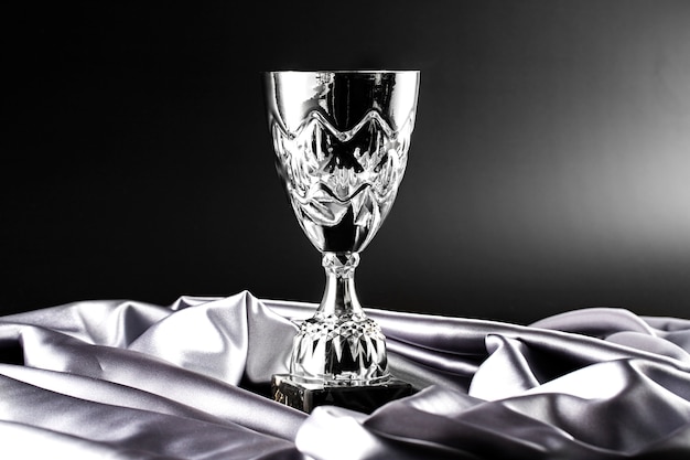 Vue du trophée de la coupe d'argent