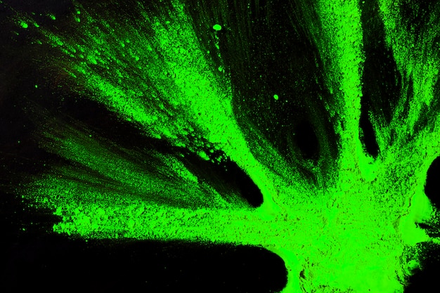 Vue élevée de la couleur holi vert vif sur la surface noire