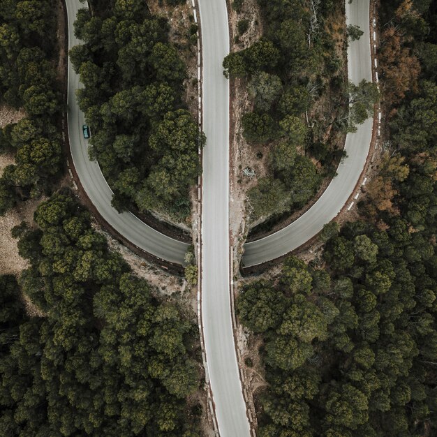 Vue élevée de la route droite et courbe en forêt