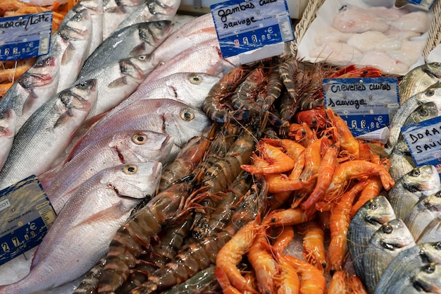 Vue de l'étal de poisson sur le marché de Sanarysurmer