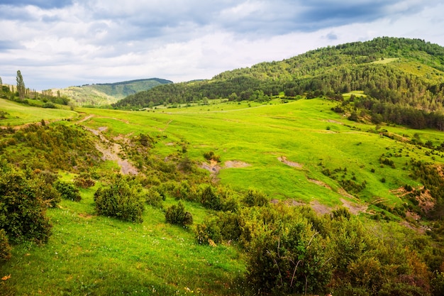 Vue d&#39;été du col de montagne