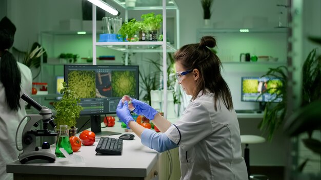 Vue de face d'une chercheuse analysant une boîte de Pétri avec de la viande végétalienne tapant une expertise biologique sur ordinateur