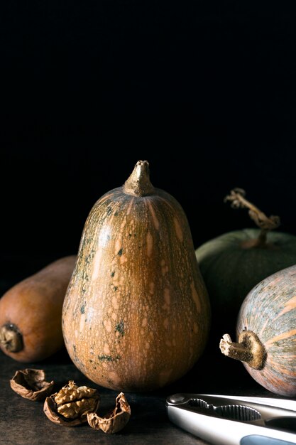 Vue de face de la courge d'automne aux noix et copiez l'espace